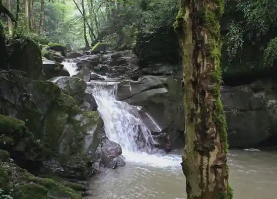 حوضچه سرگودره