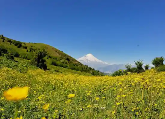 قله امامزاده قاسم چلاو