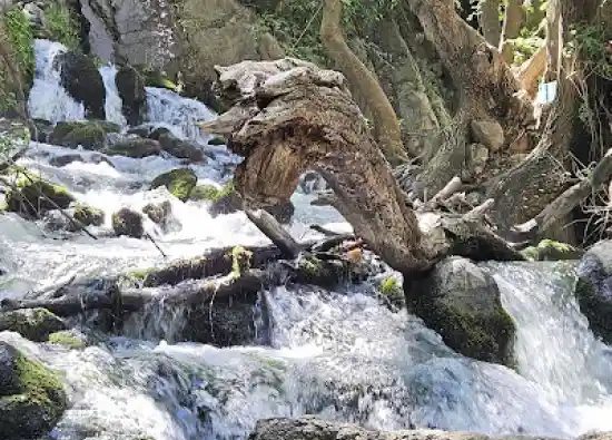 آبشار دم اسب