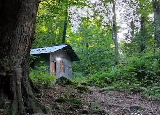 پارک جنگلی سرخ او