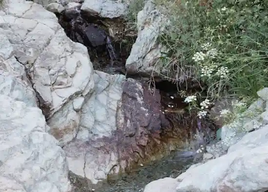 چشمه بیدستان