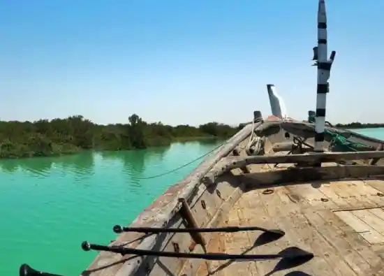 جنگل حرا دهخدا