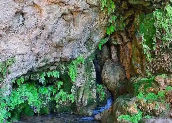 چشمه شورسبز