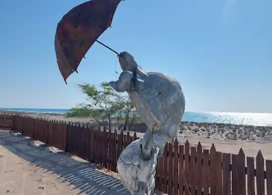 منطقه حفاظت شده لاکپشتها