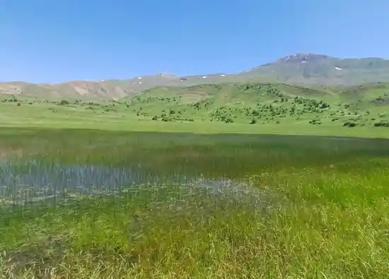 دریاچه اسب دیل