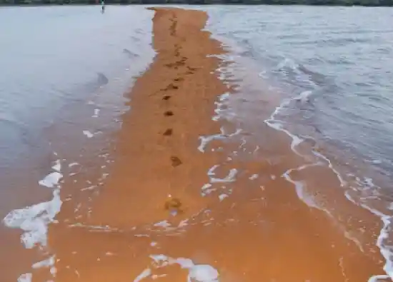 ساحل دوطرفه