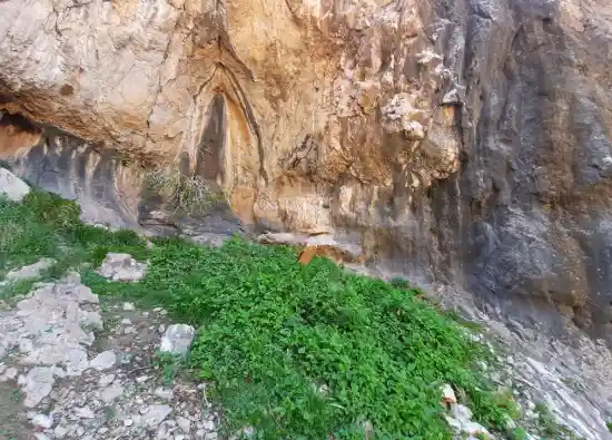 چشمه کرکسون