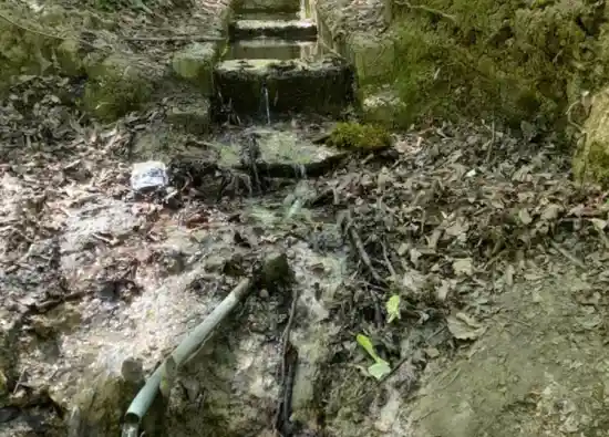 چشمه دارابکلا