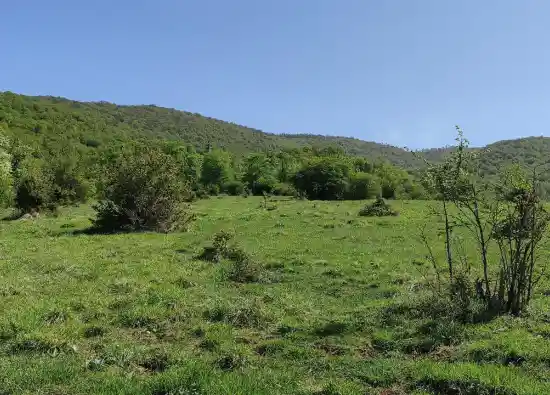 دشت اول اوبن