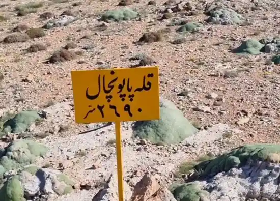 قله پاپونچال