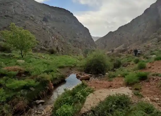 تنگه مروارید