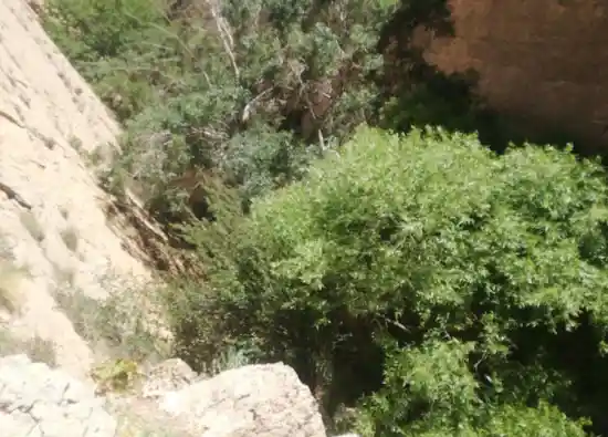 تنگه بغدیان