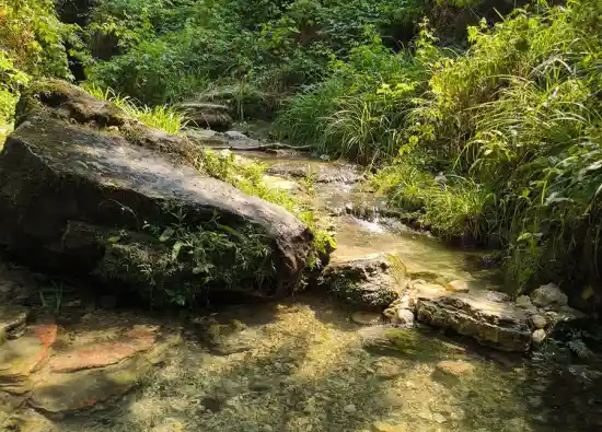 چشمه آسیابسر