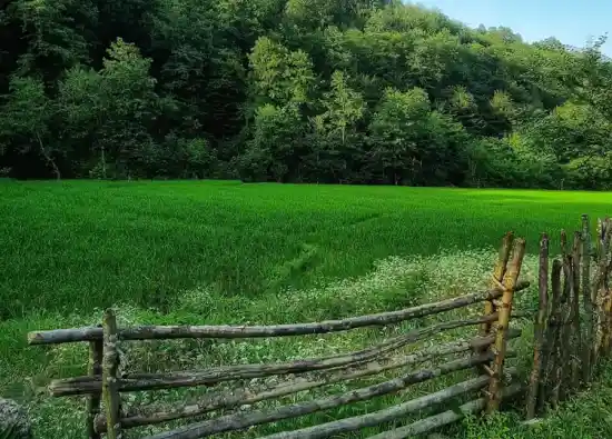 روستای تیکسر