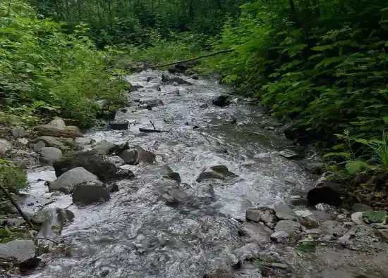 دره چاشت خوران