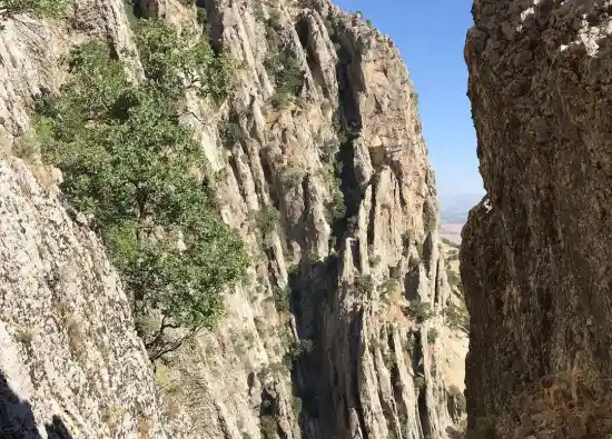 دره شاخ گاومیش