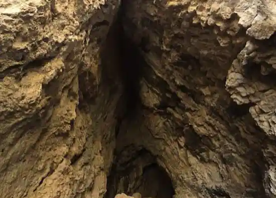 غار کلاغ وحشی