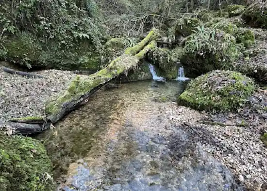 پارک جنگلی اندارگلی