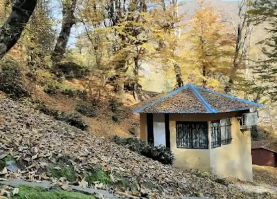 پارک جنگلی نسوم آزادمهر