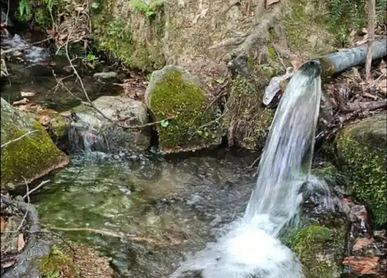 چشمه عروس و داماد