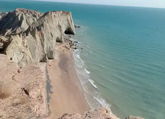 ساحل لاکپشت ها