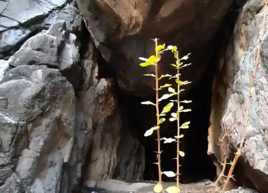 غار لاتاریک