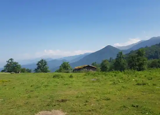 دشت امباردار