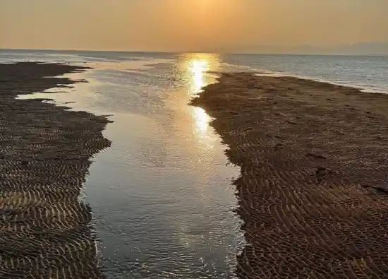 جزیره وارمی