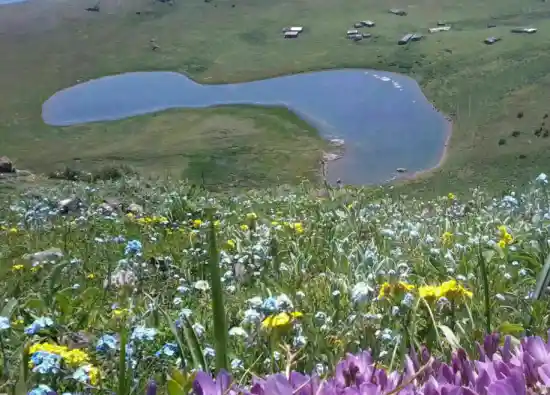 دریاچه دیارسر