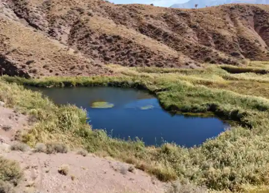 دریاچه آله بن