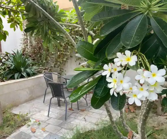 بوتیک هتل کوت-1