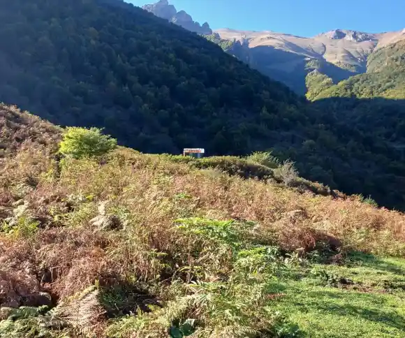 ییلاق شیرین دشت-1