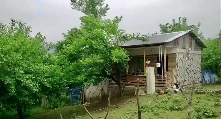 کلبه تلارسر