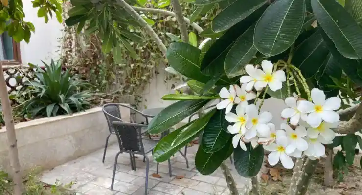 بوتیک هتل کوت