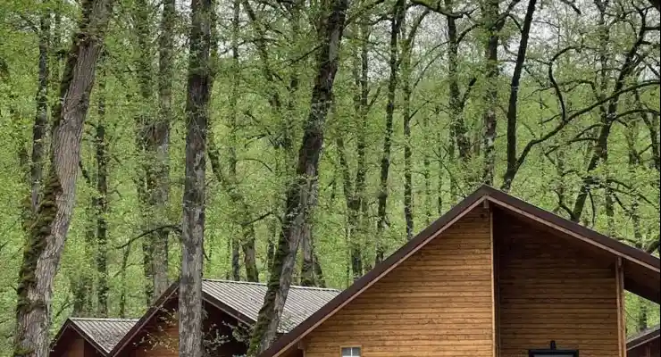 هتل جنگلی میزبان