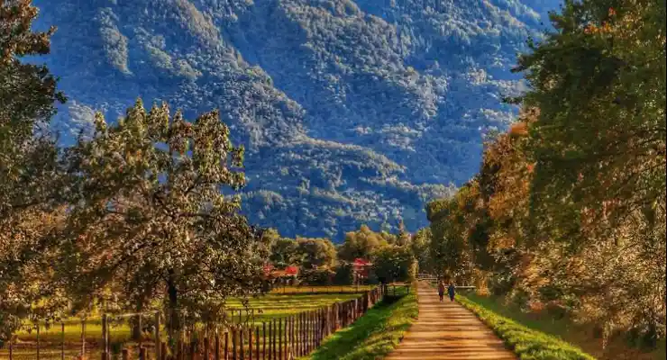 چطور طبیعت میتونه استرست رو کم کنه؟