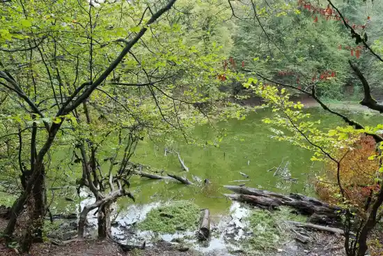 مرداب جعفرآباد