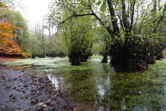 مرداب قادیکلا