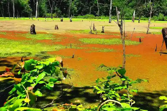 دریاچه تلارسر