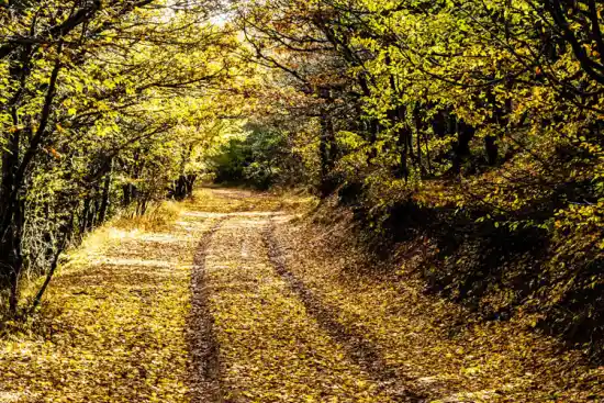 دروازه بهشت