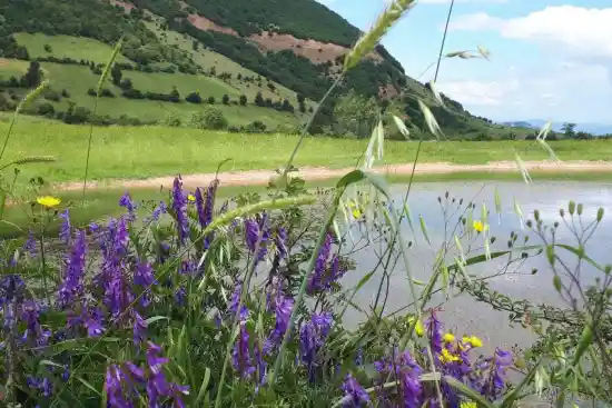 دریاچه کلورچاک