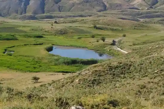 تالاب گرد زرین