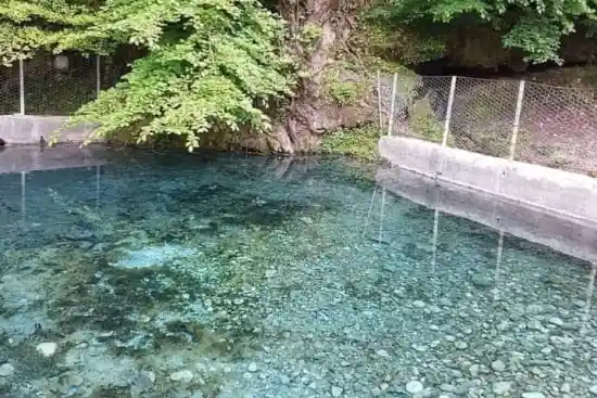 چشمه ورگینه وا