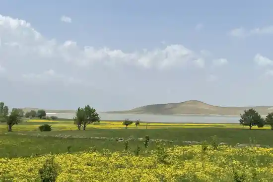 سد ملایعقوب