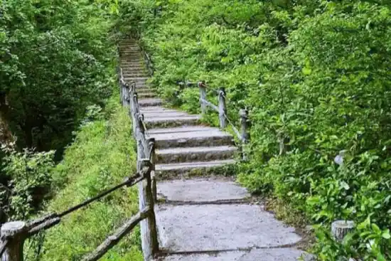 پارک جنگلی هزار پله