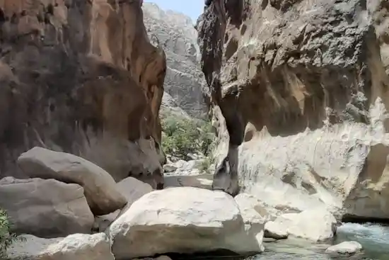 تنگه شاه نشین