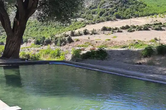 استخر روباز تجرخیل