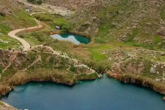 آکواریوم سیاه گل