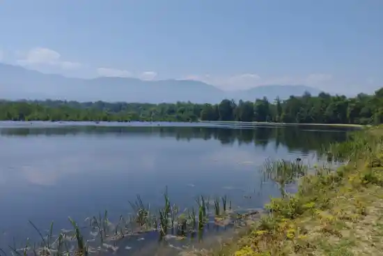 آبگیر دارجار