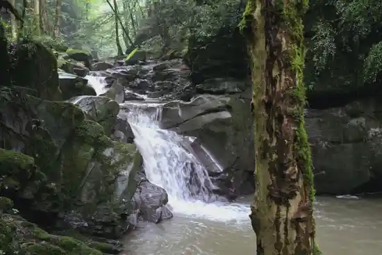 حوضچه سرگودره